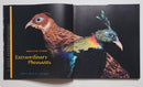 Extraordinary Pheasants