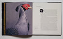 Extraordinary Pheasants
