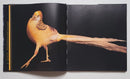 Extraordinary Pheasants