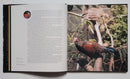 Extraordinary Pheasants