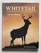 Whitetail: Fundamentals and Fine Points for the Hunter