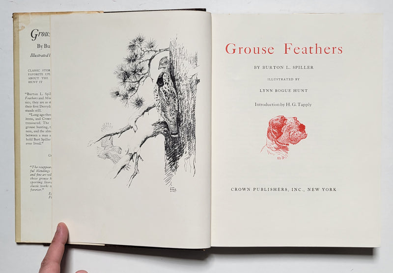 Grouse Feathers