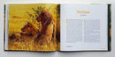 King of Beasts: A Study of the African Lion - Collector's Edition -Signed by John Banovich