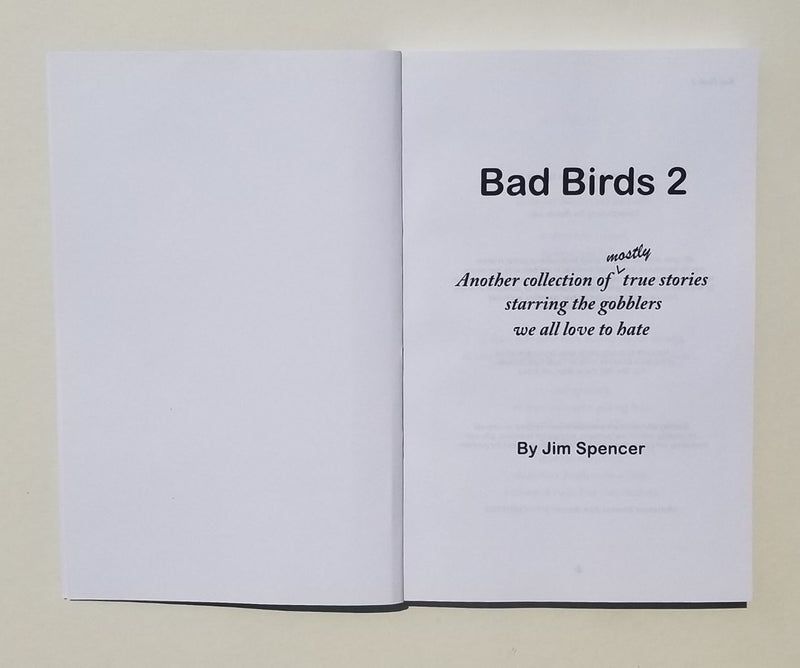 Bad Birds 2