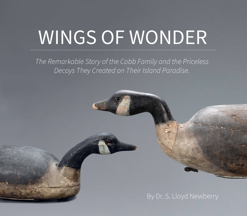 Wings of Wonder