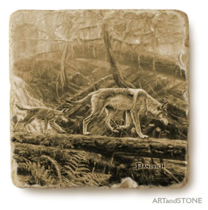 Wolf Marble Coasters by John Banovich
