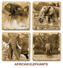 African Elephants Marble Coasters by John Banovich