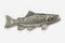 Brook Trout Pewter Pin