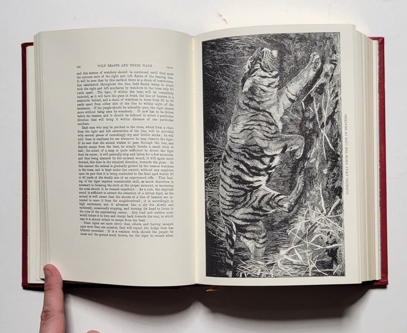 Wild Beasts and Their Ways