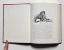 A Hunter's Life in South Africa