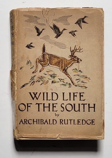 Wild Life of the South