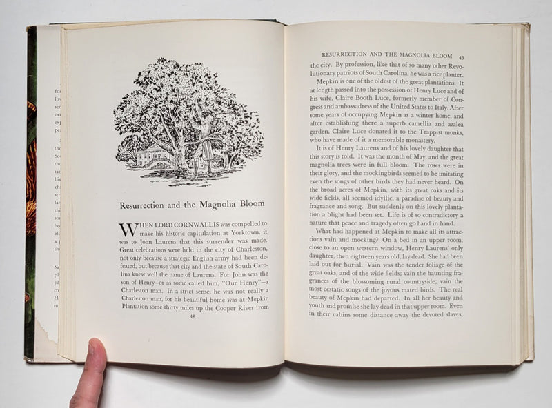 From the Hills to the Sea: Face and Legend of the Carolinas
