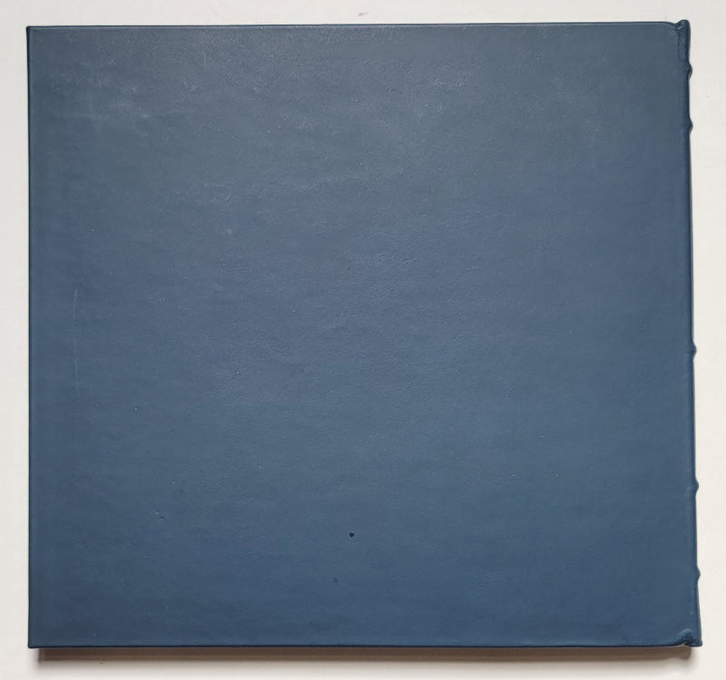 The Shape of Things: The Art of Francis Lee Jaques