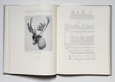 Records of North American Big Game