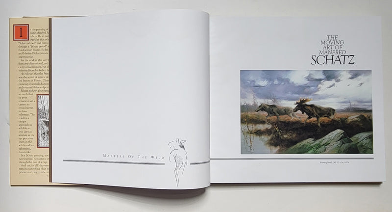 The Moving Art of Manfred Schatz