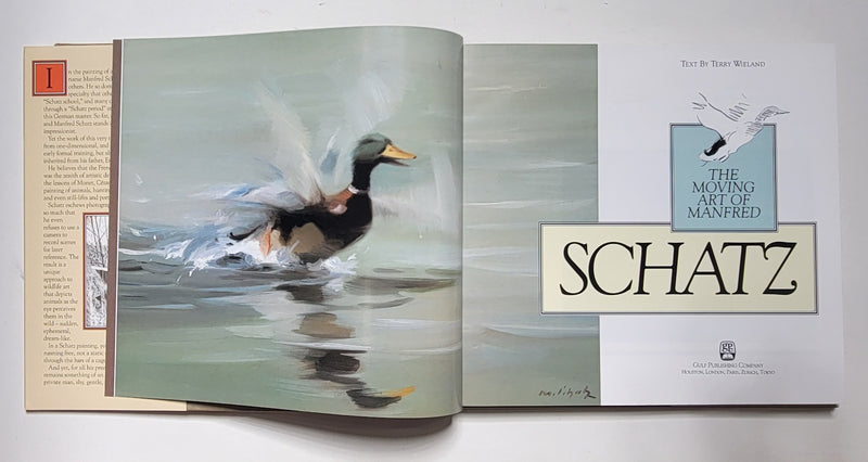 The Moving Art of Manfred Schatz