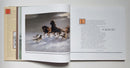 The Moving Art of Manfred Schatz