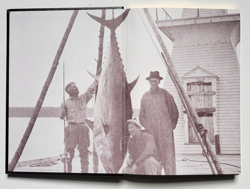 Tales of Swordfish and Tuna