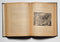 Roosevelt’s Thrilling Experiences in the Wilds of Africa and Triumphant Tour of Europe