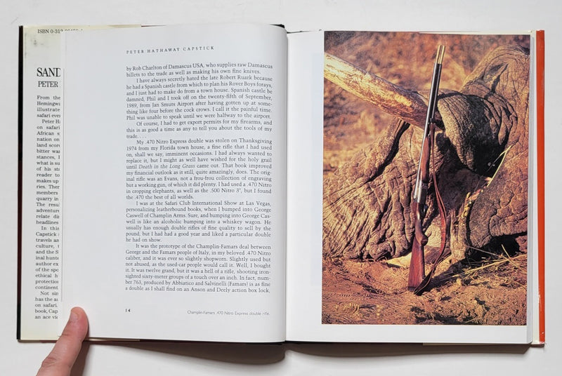 Sands of Silence: On Safari in Namibia