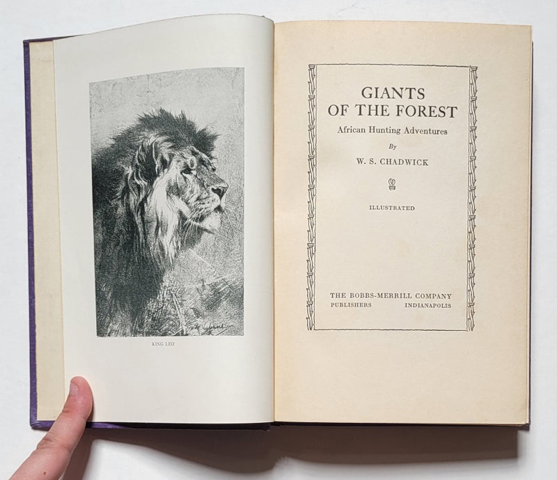Giants of the Forest: African Hunting Adventures