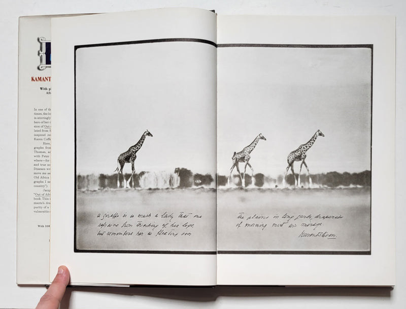 Longing for Darkness: Kamante’s Tales from Out of Africa