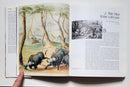 Safari: A Chronicle of Adventure