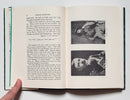 African Adventures: Letters from Famous Big-Game Hunters