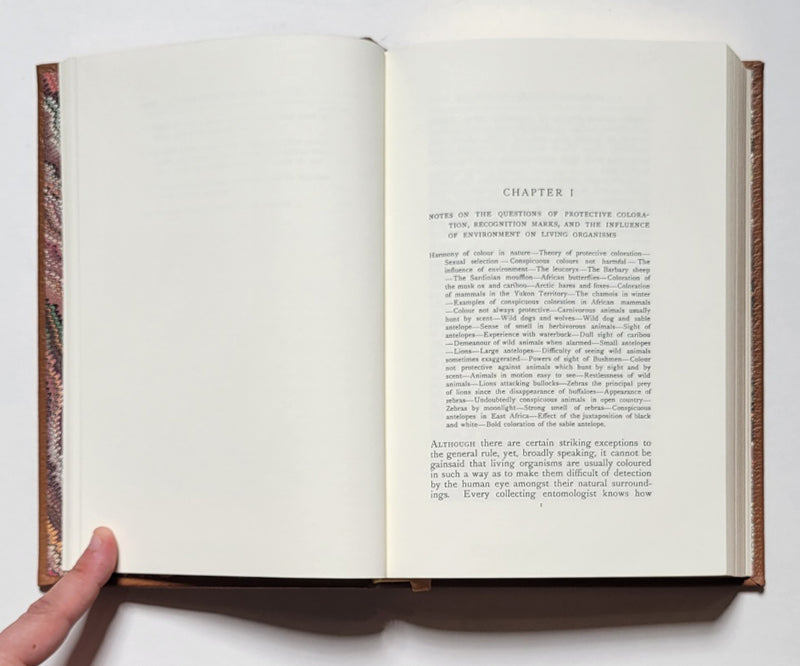 African Nature Notes and Reminiscences