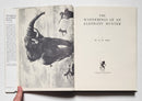 The Wanderings of an Elephant Hunter