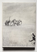 The Wanderings of an Elephant Hunter