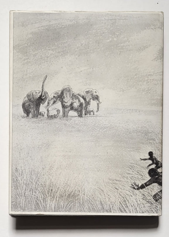 The Wanderings of an Elephant Hunter