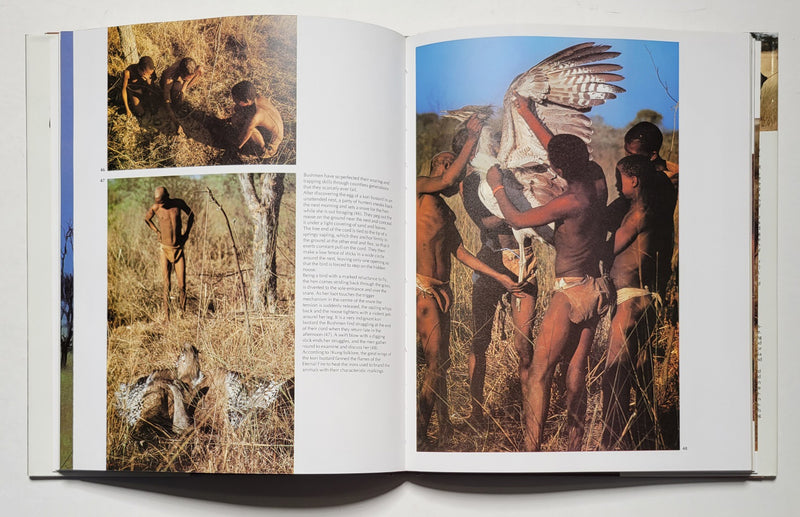 The Bushmen