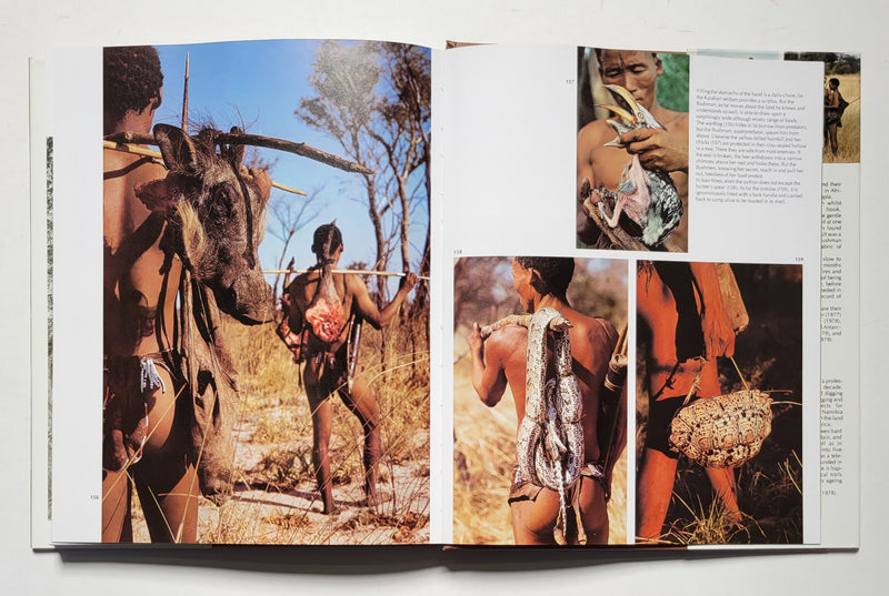 The Bushmen