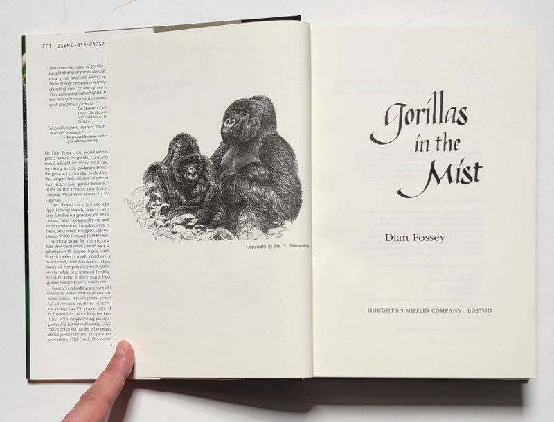 Gorillas in the Mist