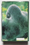 Gorillas in the Mist