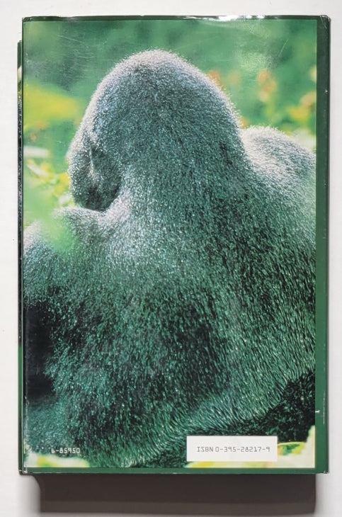 Gorillas in the Mist