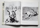 African Hunter