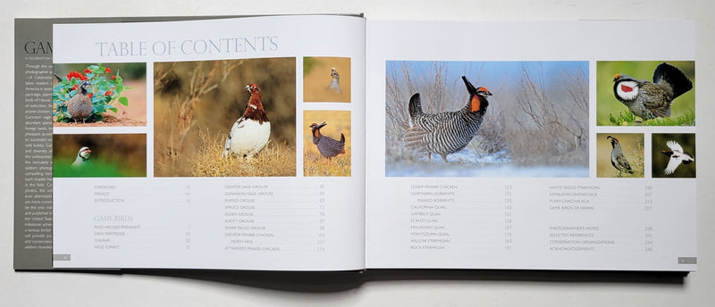 Game Birds: A Celebration of North American Upland Birds