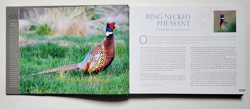 Game Birds: A Celebration of North American Upland Birds