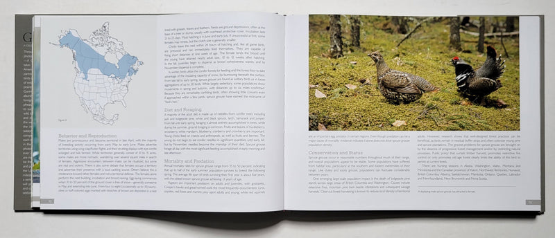 Game Birds: A Celebration of North American Upland Birds
