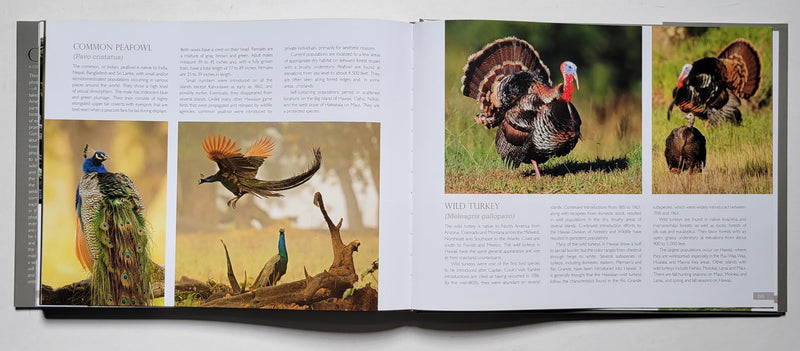 Game Birds: A Celebration of North American Upland Birds