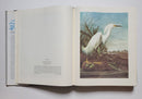 The Original Water-Color Paintings by John James Audubon for The Birds of America