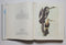 The Original Water-Color Paintings by John James Audubon for The Birds of America