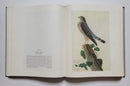 The Original Water-Color Paintings by John James Audubon for The Birds of America