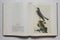 The Original Water-Color Paintings by John James Audubon for The Birds of America