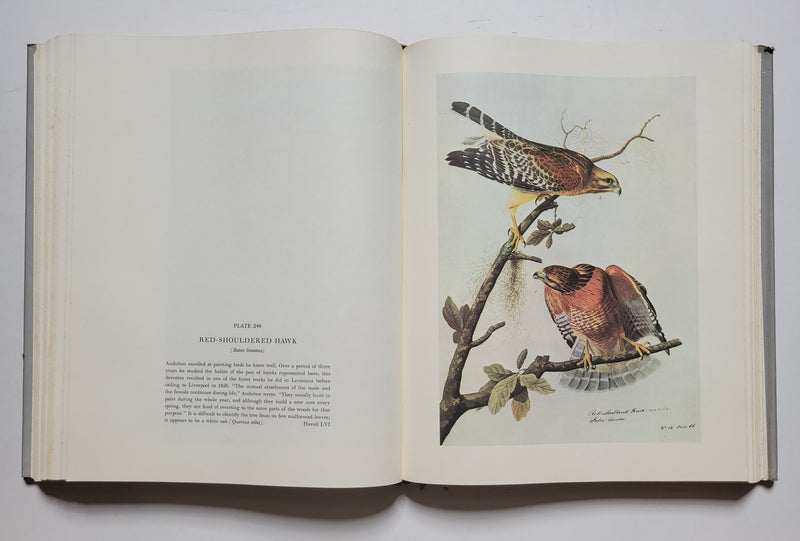 The Original Water-Color Paintings by John James Audubon for The Birds of America