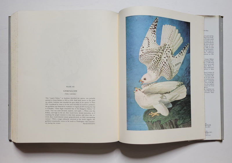 The Original Water-Color Paintings by John James Audubon for The Birds of America