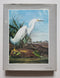The Original Water-Color Paintings by John James Audubon for The Birds of America