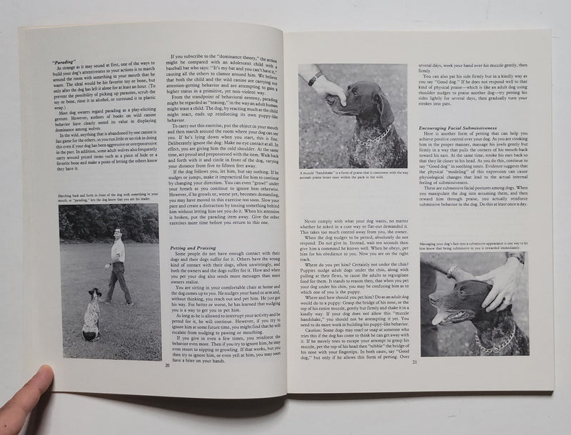Training Your Dog for Birdwork